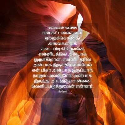 Picture 04 - யோவான் 14:21 TAMIRV - என் கட்டளைகளை - Bible Verse Picture