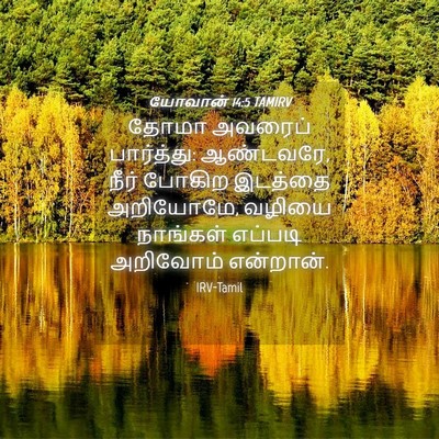 Picture 04 - யோவான் 14:5 TAMIRV - தோமா அவரைப் - Bible Verse Picture