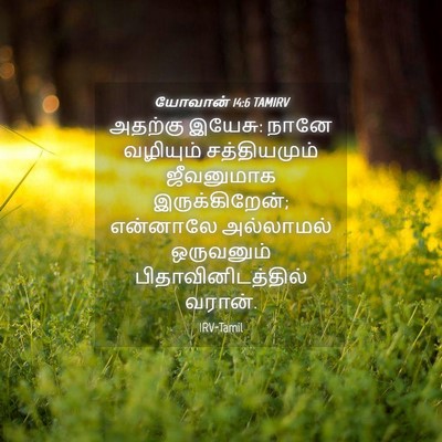 Picture 04 - யோவான் 14:6 TAMIRV - அதற்கு இயேசு: நானே - Bible Verse Picture