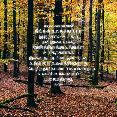 Picture 04 - யோவான் 15:19 TAMIRV - நீங்கள் - Bible Verse Picture
