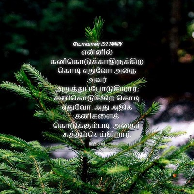 Picture 04 - யோவான் 15:2 TAMIRV - என்னில் - Bible Verse Picture
