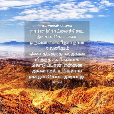 Picture 04 - யோவான் 15:5 TAMIRV - நானே - Bible Verse Picture