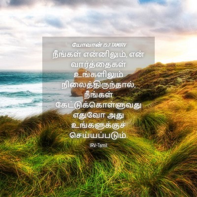 Picture 04 - யோவான் 15:7 TAMIRV - நீங்கள் - Bible Verse Picture