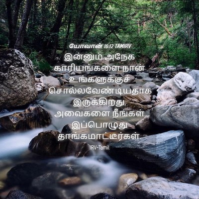 Picture 04 - யோவான் 16:12 TAMIRV - இன்னும் அநேக - Bible Verse Picture
