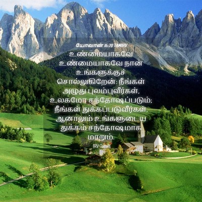 Picture 04 - யோவான் 16:20 TAMIRV - உண்மையாகவே - Bible Verse Picture