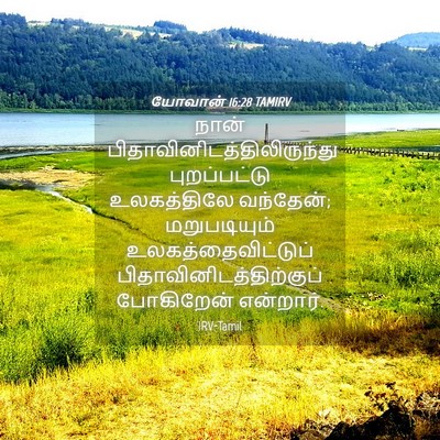Picture 04 - யோவான் 16:28 TAMIRV - நான் - Bible Verse Picture