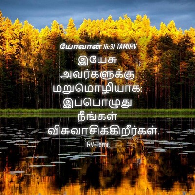 Picture 04 - யோவான் 16:31 TAMIRV - இயேசு அவர்களுக்கு - Bible Verse Picture