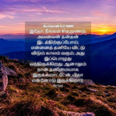 Picture 04 - யோவான் 16:32 TAMIRV - இதோ, நீங்கள் - Bible Verse Picture