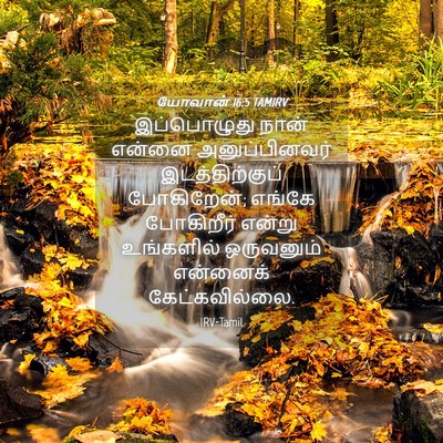 Picture 04 - யோவான் 16:5 TAMIRV - இப்பொழுது நான் - Bible Verse Picture