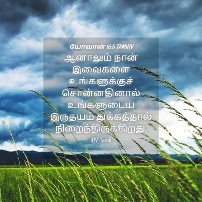 Picture 04 - யோவான் 16:6 TAMIRV - ஆனாலும் நான் - Bible Verse Picture