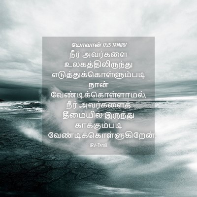 Picture 04 - யோவான் 17:15 TAMIRV - நீர் அவர்களை - Bible Verse Picture