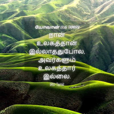 Picture 04 - யோவான் 17:16 TAMIRV - நான் உலகத்தான் - Bible Verse Picture