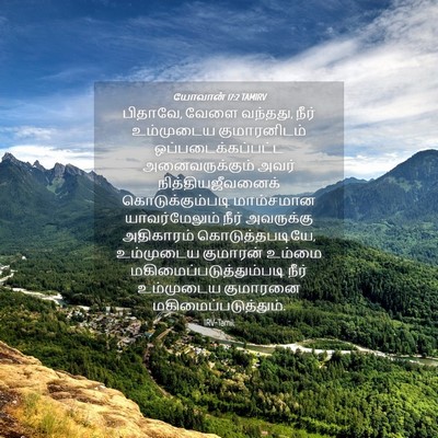 Picture 04 - யோவான் 17:2 TAMIRV - பிதாவே, வேளை - Bible Verse Picture