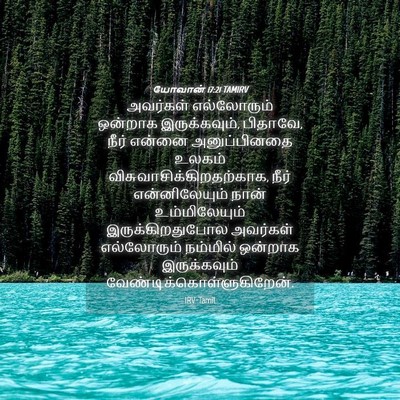 Picture 04 - யோவான் 17:21 TAMIRV - அவர்கள் எல்லோரும் - Bible Verse Picture