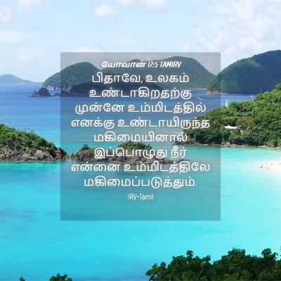 Picture 04 - யோவான் 17:5 TAMIRV - பிதாவே, உலகம் - Bible Verse Picture