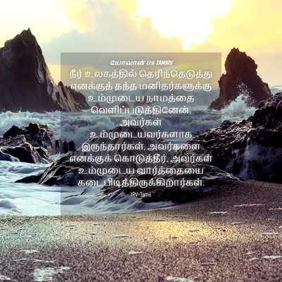 Picture 04 - யோவான் 17:6 TAMIRV - நீர் உலகத்தில் - Bible Verse Picture