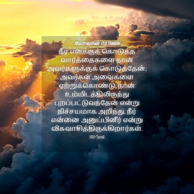 Picture 04 - யோவான் 17:8 TAMIRV - நீர் எனக்குக் - Bible Verse Picture