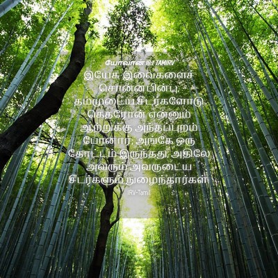 Picture 04 - யோவான் 18:1 TAMIRV - இயேசு இவைகளைச் - Bible Verse Picture