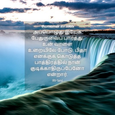 Picture 04 - யோவான் 18:11 TAMIRV - அப்பொழுது இயேசு - Bible Verse Picture