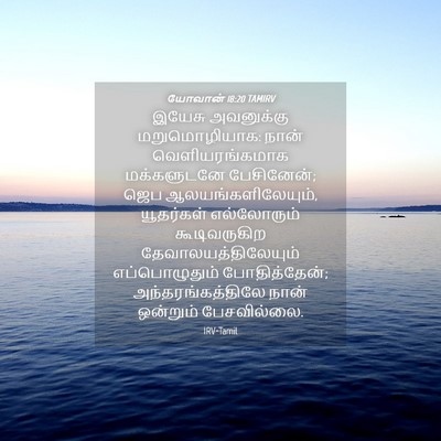 Picture 04 - யோவான் 18:20 TAMIRV - இயேசு அவனுக்கு - Bible Verse Picture