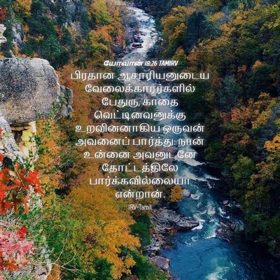 Picture 04 - யோவான் 18:26 TAMIRV - பிரதான - Bible Verse Picture