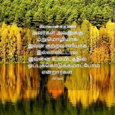 Picture 04 - யோவான் 18:30 TAMIRV - அவர்கள் அவனுக்கு - Bible Verse Picture