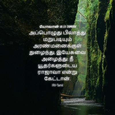Picture 04 - யோவான் 18:33 TAMIRV - அப்பொழுது - Bible Verse Picture