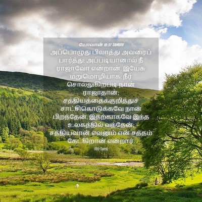 Picture 04 - யோவான் 18:37 TAMIRV - அப்பொழுது - Bible Verse Picture