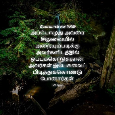Picture 04 - யோவான் 19:16 TAMIRV - அப்பொழுது அவரை - Bible Verse Picture