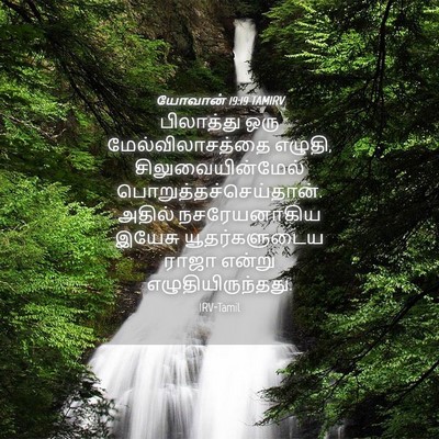 Picture 04 - யோவான் 19:19 TAMIRV - பிலாத்து ஒரு - Bible Verse Picture