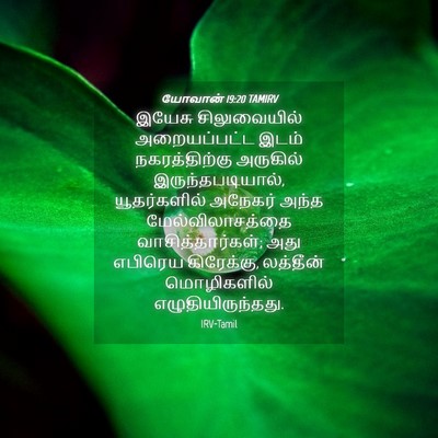 Picture 04 - யோவான் 19:20 TAMIRV - இயேசு சிலுவையில் - Bible Verse Picture