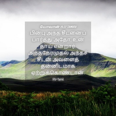 Picture 04 - யோவான் 19:27 TAMIRV - பின்பு அந்த - Bible Verse Picture