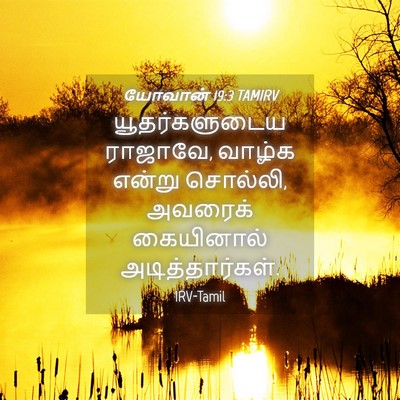 Picture 04 - யோவான் 19:3 TAMIRV - யூதர்களுடைய - Bible Verse Picture
