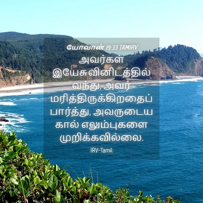Picture 04 - யோவான் 19:33 TAMIRV - அவர்கள் - Bible Verse Picture