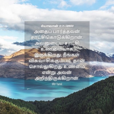 Picture 04 - யோவான் 19:35 TAMIRV - அதைப் பார்த்தவன் - Bible Verse Picture