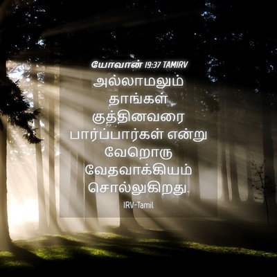 Picture 04 - யோவான் 19:37 TAMIRV - அல்லாமலும் - Bible Verse Picture