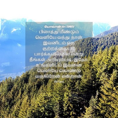Picture 04 - யோவான் 19:4 TAMIRV - பிலாத்து மீண்டும் - Bible Verse Picture