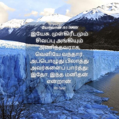 Picture 04 - யோவான் 19:5 TAMIRV - இயேசு, - Bible Verse Picture
