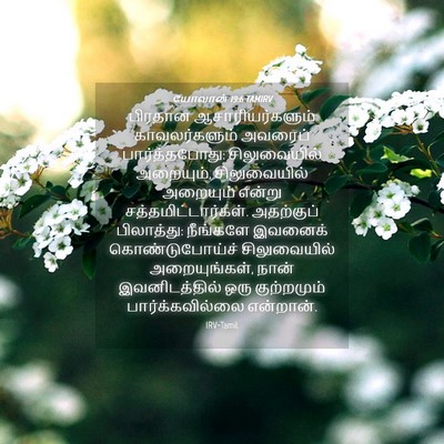 Picture 04 - யோவான் 19:6 TAMIRV - பிரதான - Bible Verse Picture