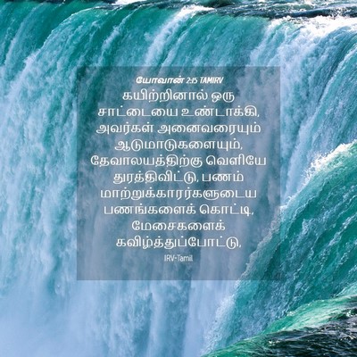 Picture 04 - யோவான் 2:15 TAMIRV - கயிற்றினால் ஒரு - Bible Verse Picture