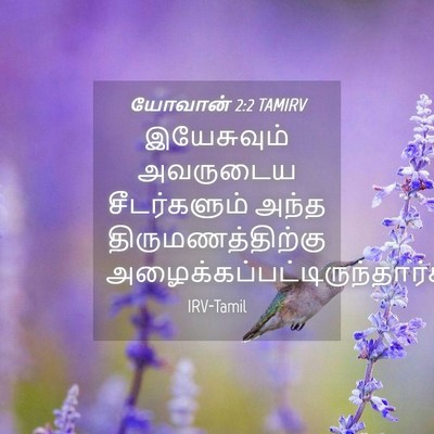 Picture 04 - யோவான் 2:2 TAMIRV - இயேசுவும் அவருடைய - Bible Verse Picture