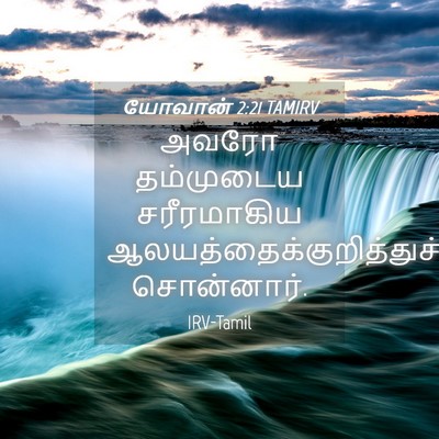 Picture 04 - யோவான் 2:21 TAMIRV - அவரோ தம்முடைய - Bible Verse Picture