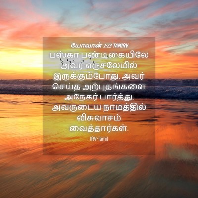 Picture 04 - யோவான் 2:23 TAMIRV - பஸ்கா பண்டிகையிலே - Bible Verse Picture