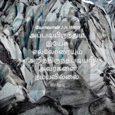 Picture 04 - யோவான் 2:24 TAMIRV - அப்படியிருந்தும், - Bible Verse Picture