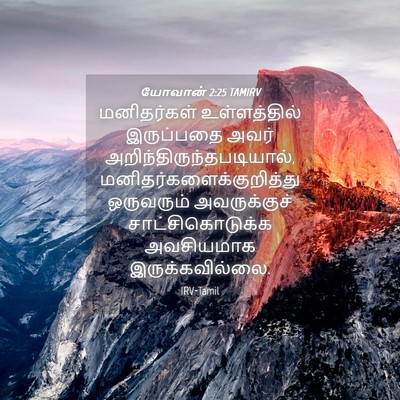 Picture 04 - யோவான் 2:25 TAMIRV - மனிதர்கள் - Bible Verse Picture