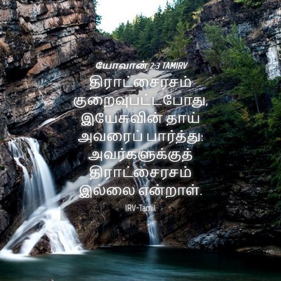 Picture 04 - யோவான் 2:3 TAMIRV - திராட்சைரசம் - Bible Verse Picture