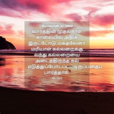 Picture 04 - யோவான் 20:1 TAMIRV - வாரத்தின் - Bible Verse Picture