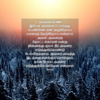 Picture 04 - யோவான் 20:15 TAMIRV - இயேசு அவளைப் - Bible Verse Picture