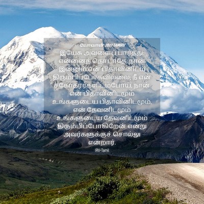 Picture 04 - யோவான் 20:17 TAMIRV - இயேசு அவளைப் - Bible Verse Picture