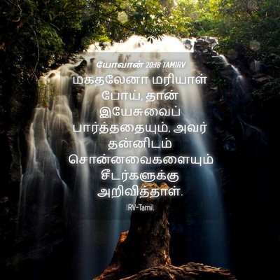 Picture 04 - யோவான் 20:18 TAMIRV - மகதலேனா மரியாள் - Bible Verse Picture